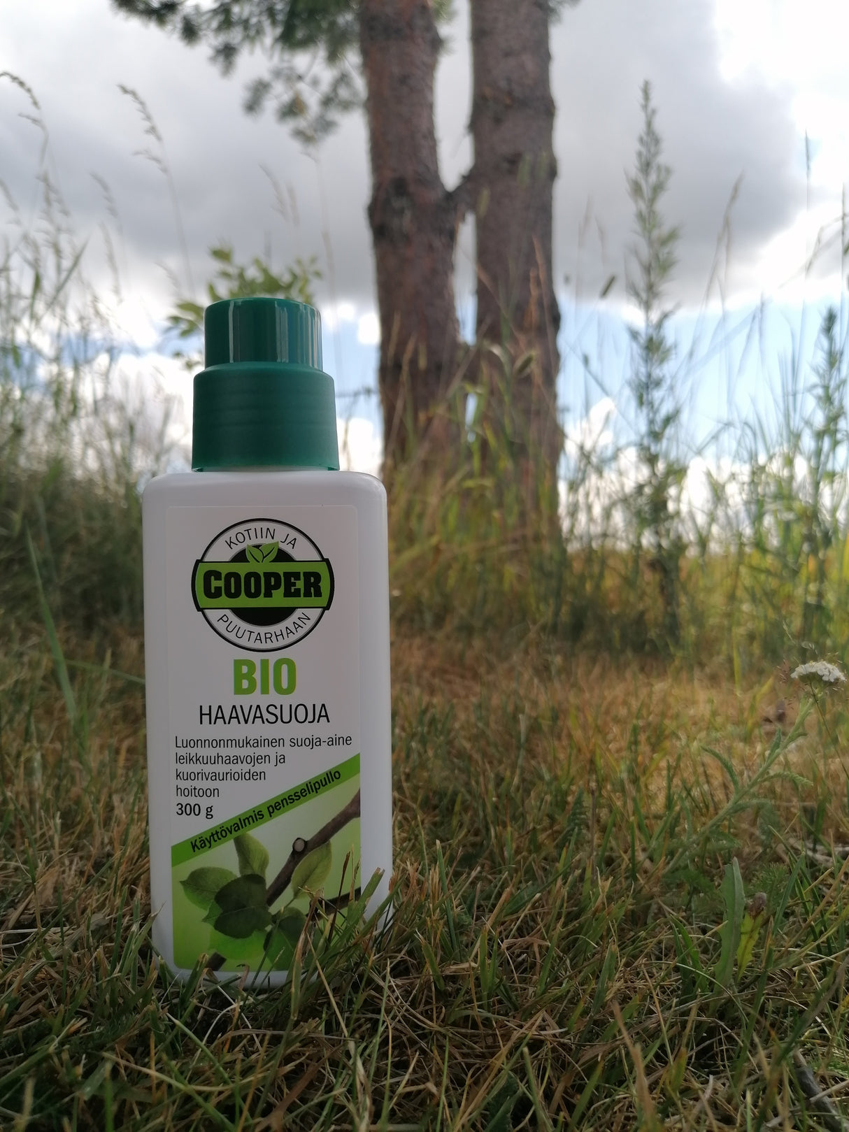 BIO Haavasuoja 300 g