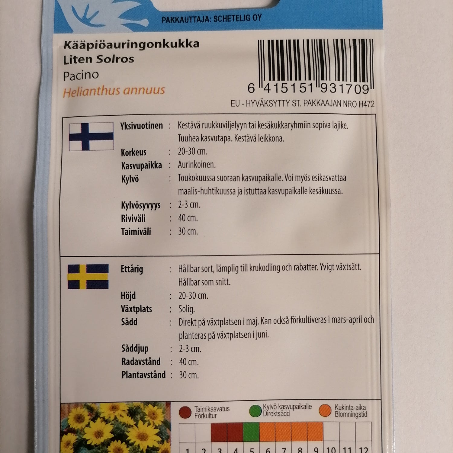 1 pss Kääpiöauringonkukka 'Pacino'