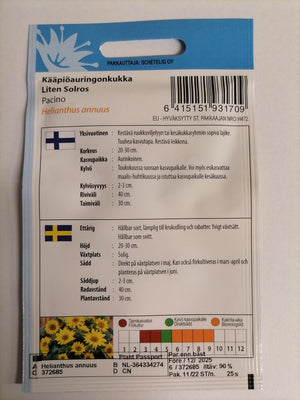 1 pss Kääpiöauringonkukka 'Pacino'