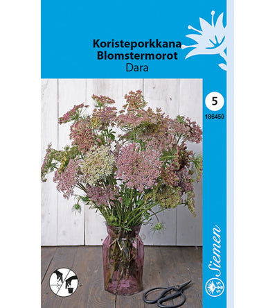1 pss Koristeporkkana Dara