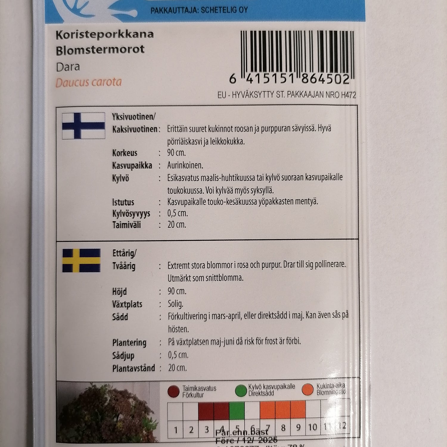 1 pss Koristeporkkana Dara