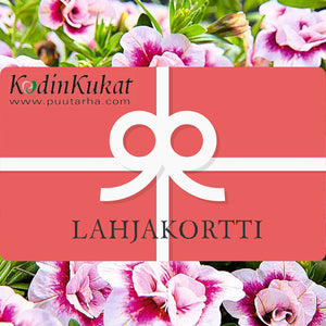 Lahjakortit
