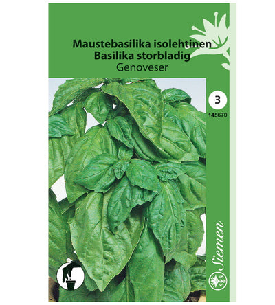 1 pss Maustebasilika Genoveser