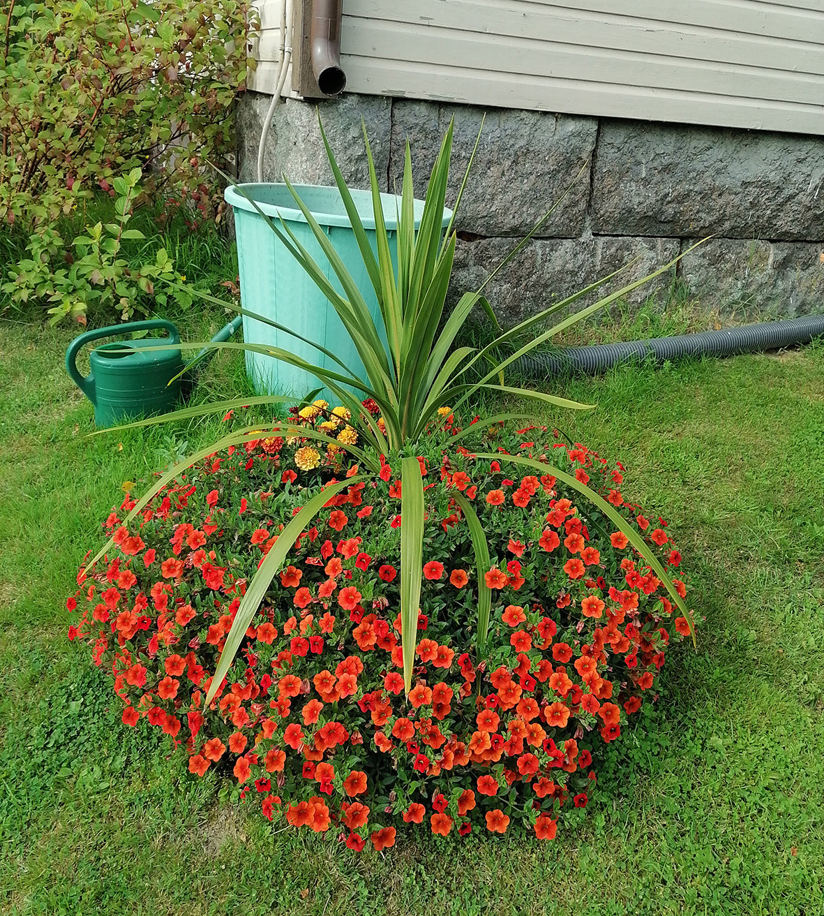 4 kpl Miljoonakello 'Orange'