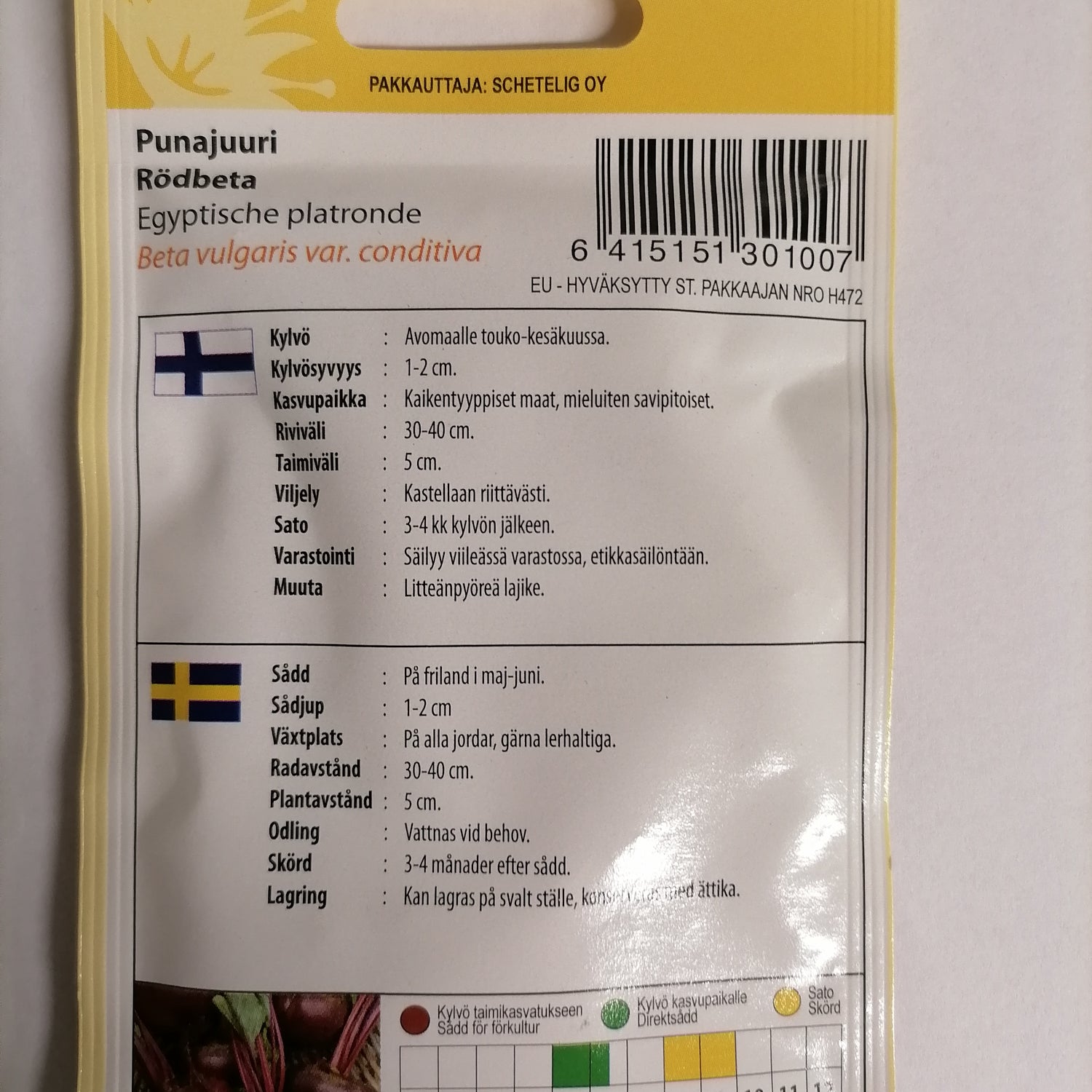 1 pss Punajuuri Egyptiläinen