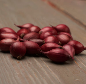 Istukassipulisekoitus 500 g