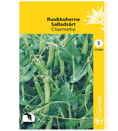 1 pss Ruukkuherne Charmette