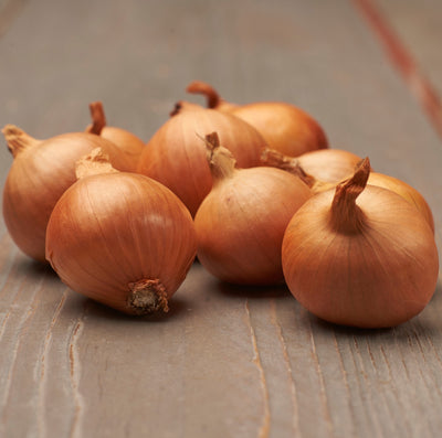 Istukassipulisekoitus 500 g